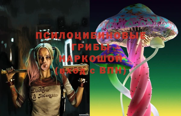 тгк Богданович